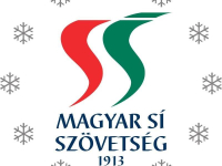 Alpesi Szakmai Igazgató pályázat 2026.